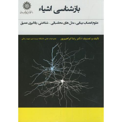 بازشناسی اشیاء علوم اعصاب بینایی