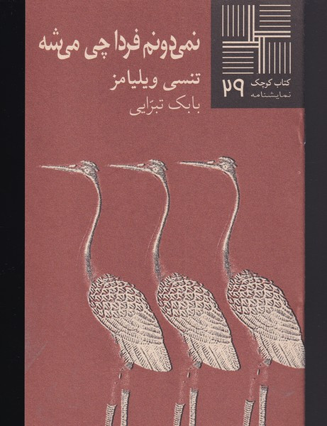 کتاب کوچک 29 نمی‎دونم ‎فردا چی ‎می‎شه