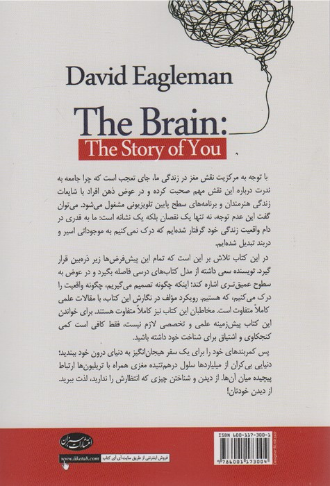 مغز زندگی ما چگونه شکل می گیرد