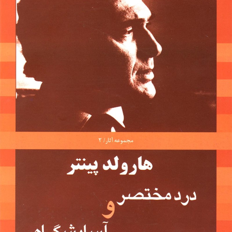 هارولد پینتر 2 درد مختصر و آسایشگاه