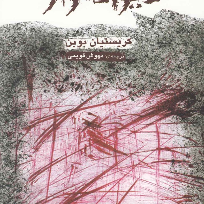 دیوانه وار