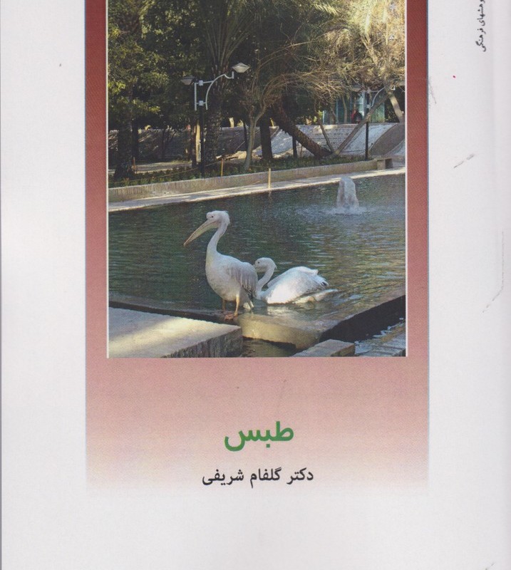 از ایران چه می دانم 146 طبس