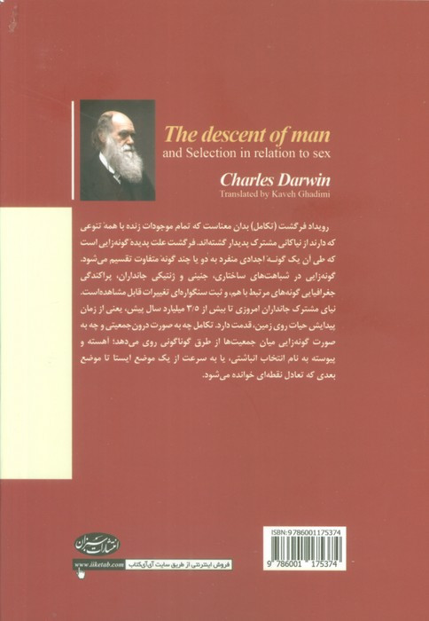 تبار انسان