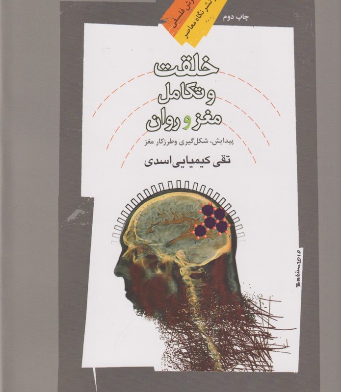 خلقت و تکامل مغز و روان