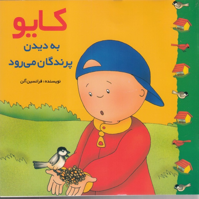 کایو به دیدن پرندگان می رود