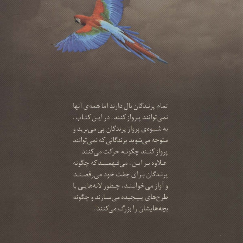 دنیای هیجان انگیز پرندگان