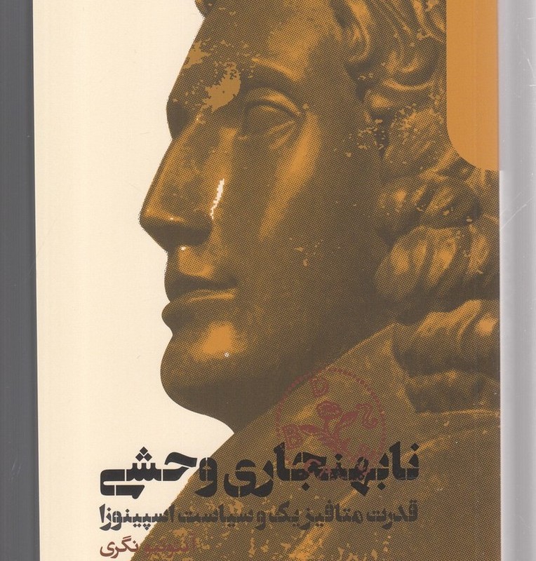 نا بهنجاری وحشی قدرت متافیزیک و سیاست اسپینوزا