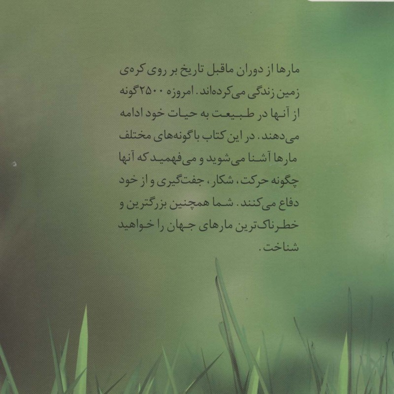 دنیای هیجان انگیز مارها