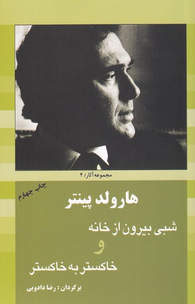 هارولد پینتر شبی بیرون از خانه