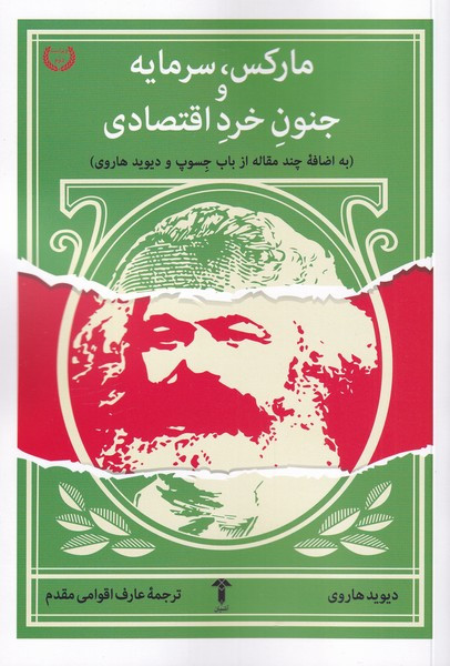مارکس سرمایه و جنون خرد اقتصادی