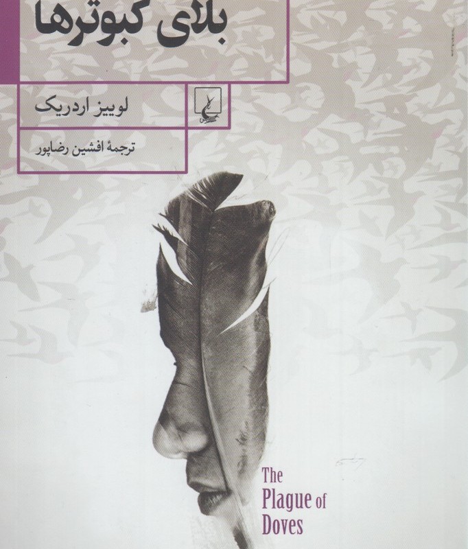 بلای کبوتر ها