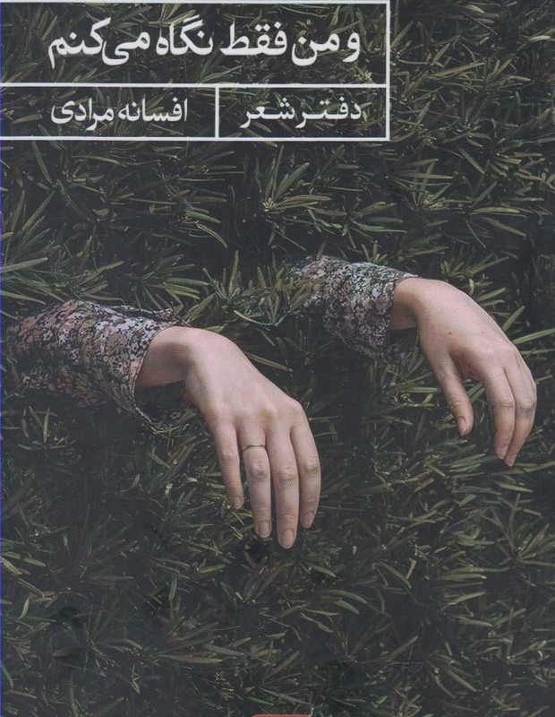 و من فقط نگاه می کنم