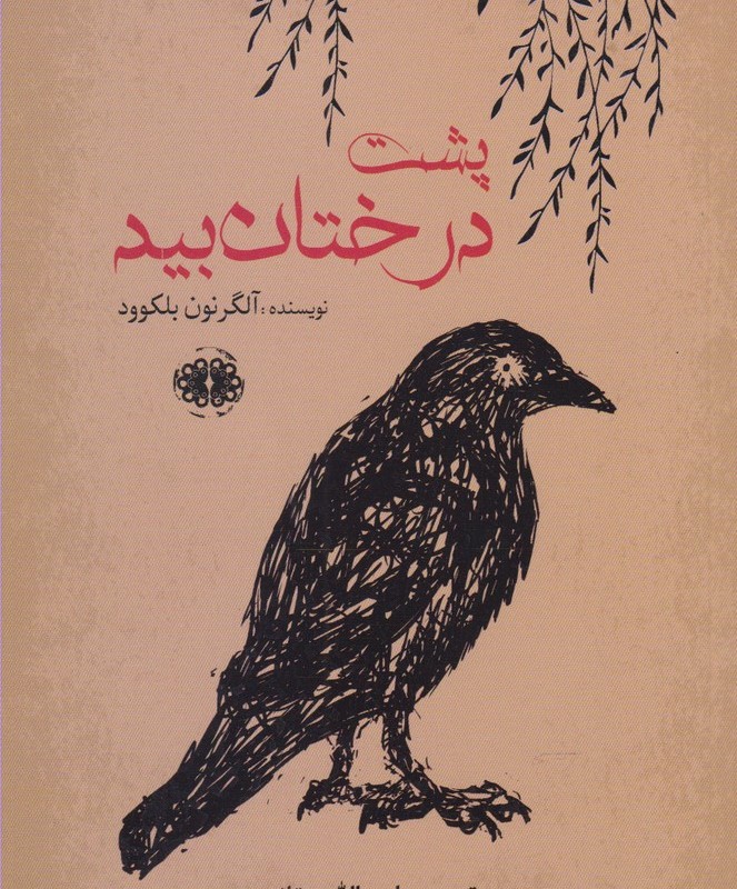 پشت درختان بید