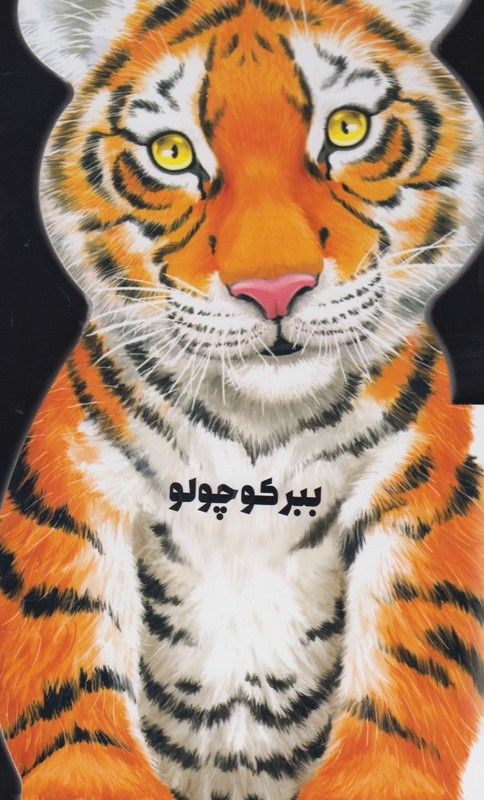 کتاب داستان زندگی خرگوش کوچولو اثر جیووانی کاویزل