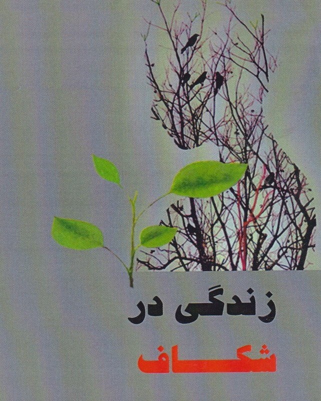 زندگی در شکاف صخره ها