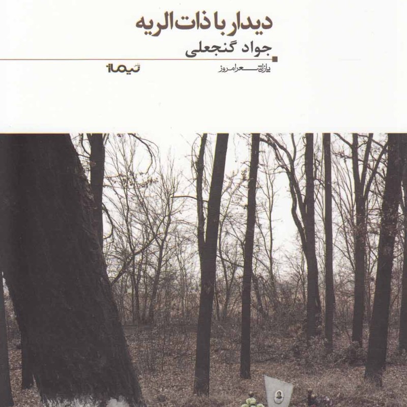 پازل شعر امروز 96 دیدار با ذات الریه