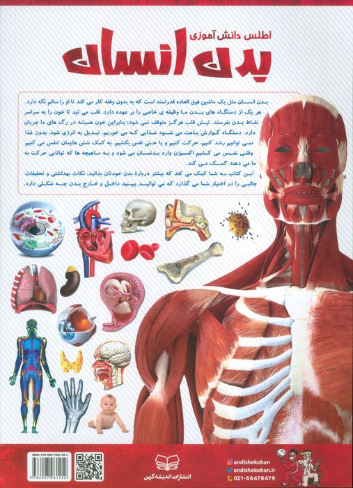 اطلس دانش آموزی بدن انسان - سپیده تقدسی