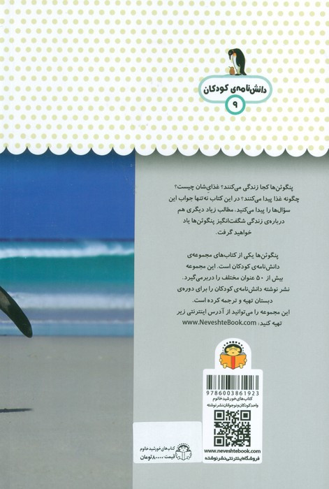 یک فنجان دانستنی درباره ی پنگوئن ها