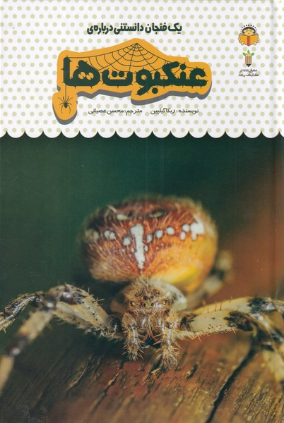 یک فنجان دانستنی درباره ی عنکبوت ها