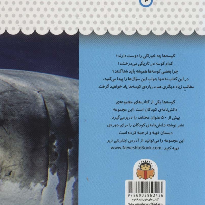 یک فنجان دانستنی درباره ی کوسه ها