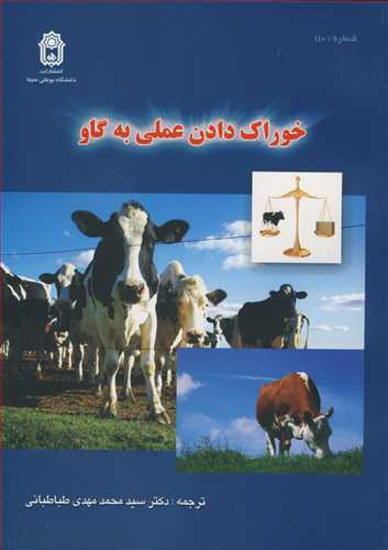 خوراک دادن عملی به گاو