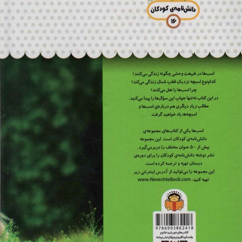 یک فنجان دانستنی درباره ی اسب ها