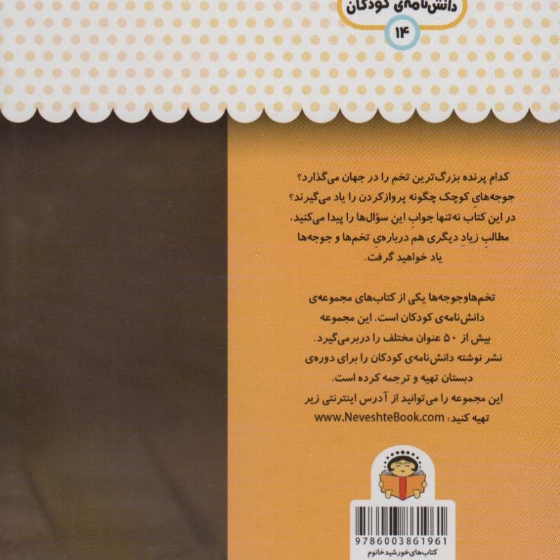 یک فنجان دانستنی درباره ی تخم ها و جوجه