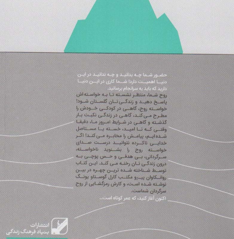 رهایی از سردرگمی - جیمز هیلمن