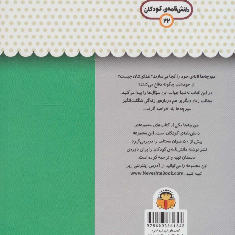 یک فنجان دانستنی درباره ی مورچه ها