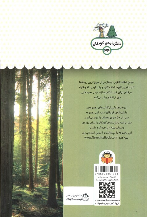 یک فنجان دانستنی درباره ی درخت ها