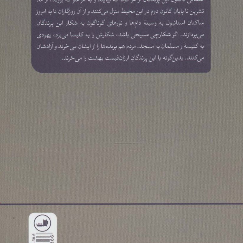 پرندگان نیز رفتند