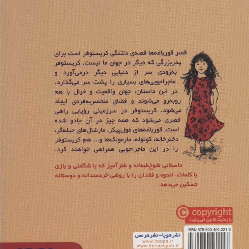 کتاب قصر قورباغه ها نشر هرمس اثر یوستین گردر