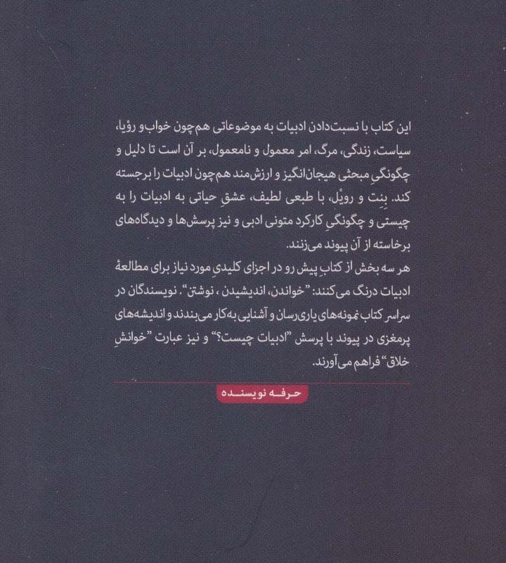 کتاب آنچه ادبیات می نامندش