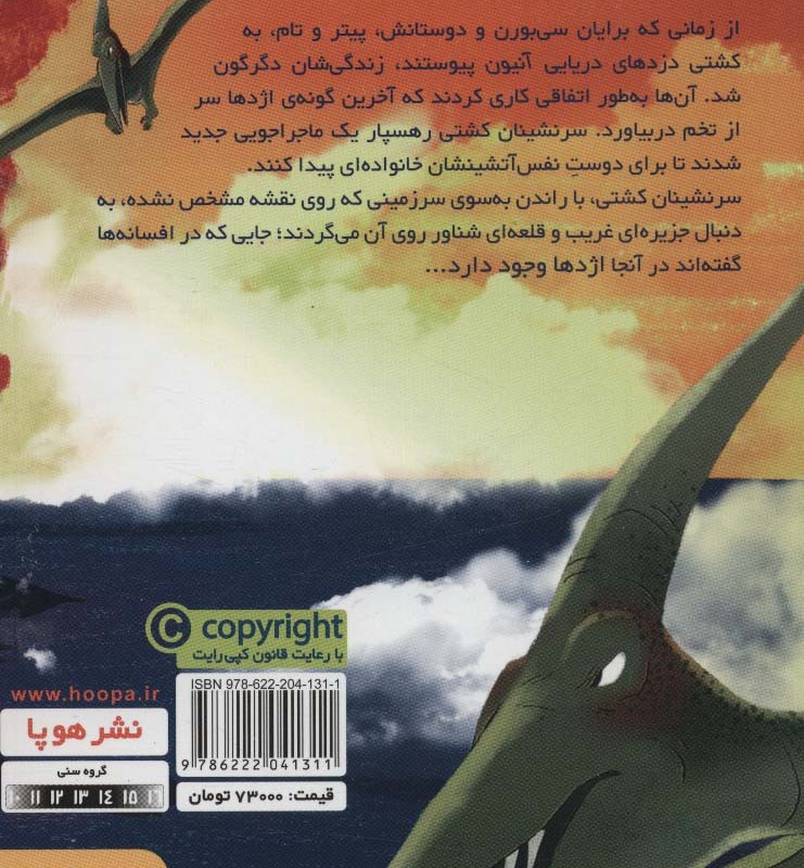 دزدان دریایی تصادفی 2