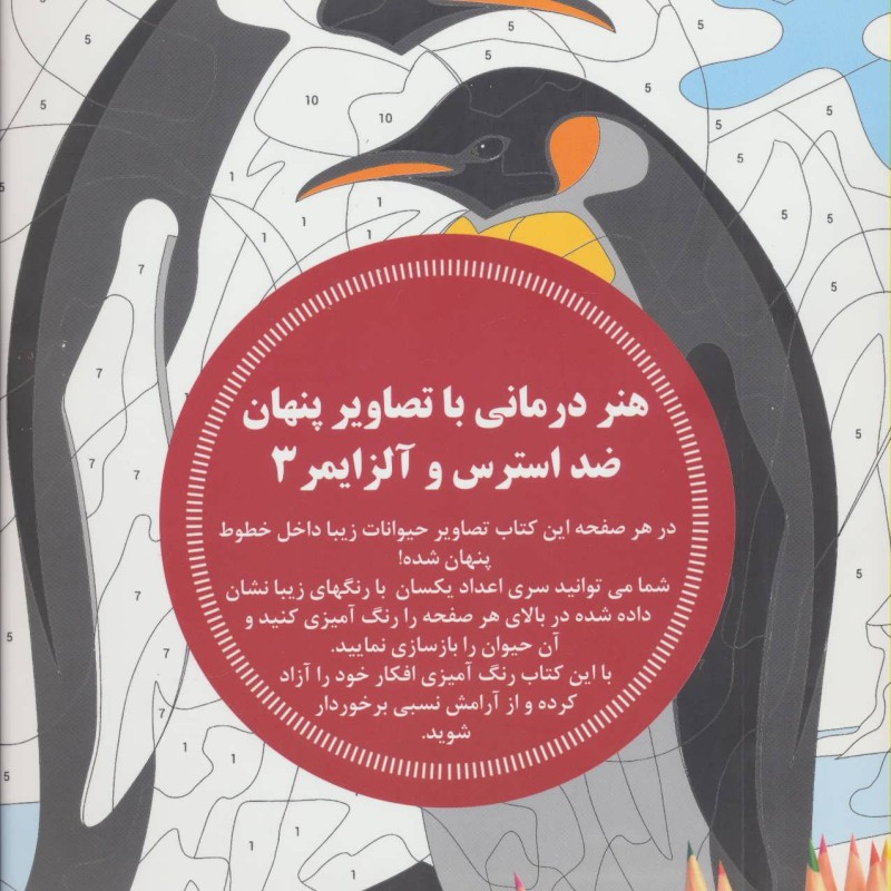 هنر درمانی با تصاویر پنهان ضد استرس و آلزایمر 3