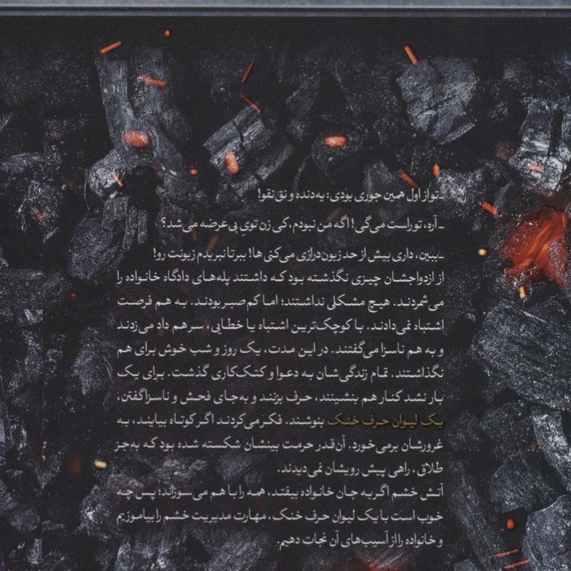 کتاب یک لیوان حرف خنک