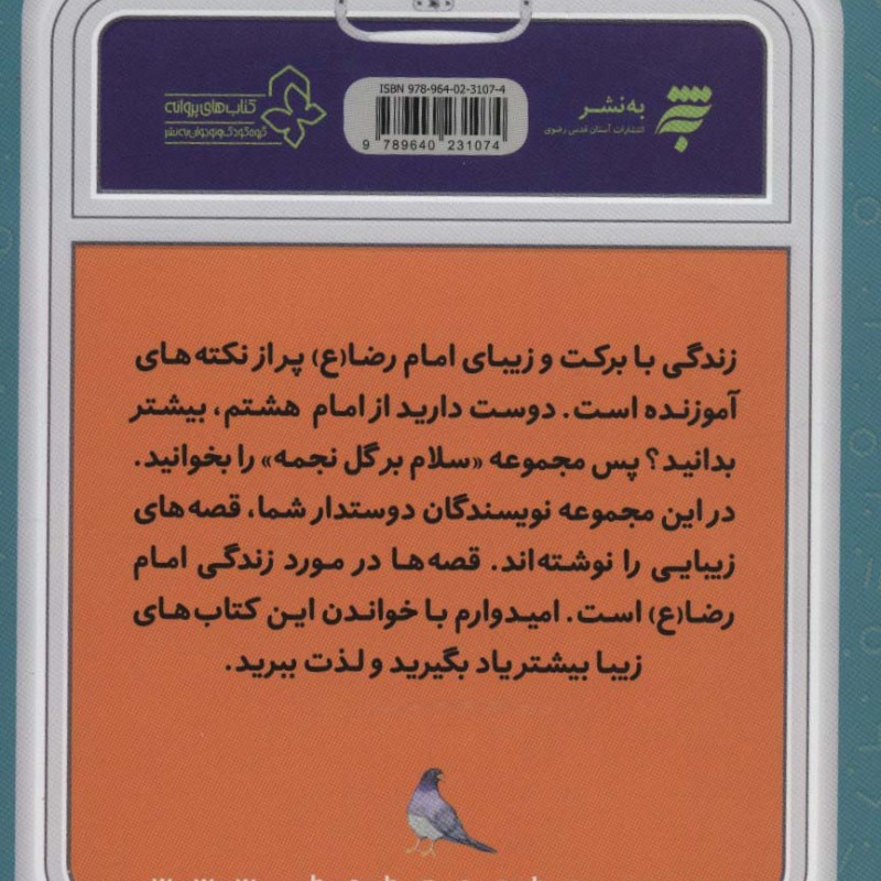 ما گم شده ایم