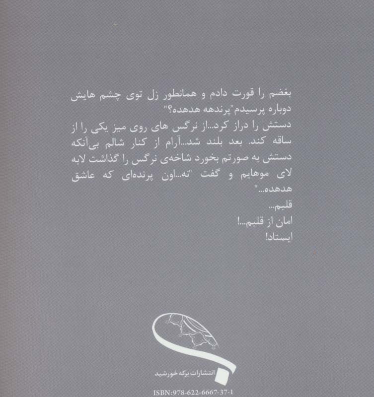 هدهد