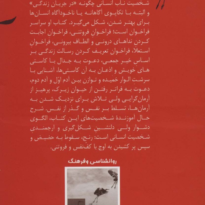 در مسیر شخصیت