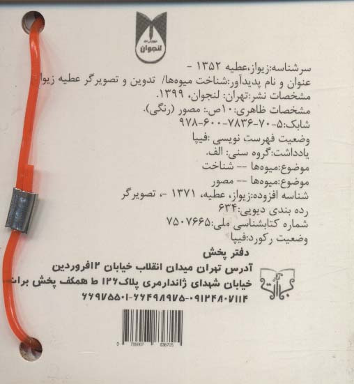 فلش کارت چشمی میوه ها