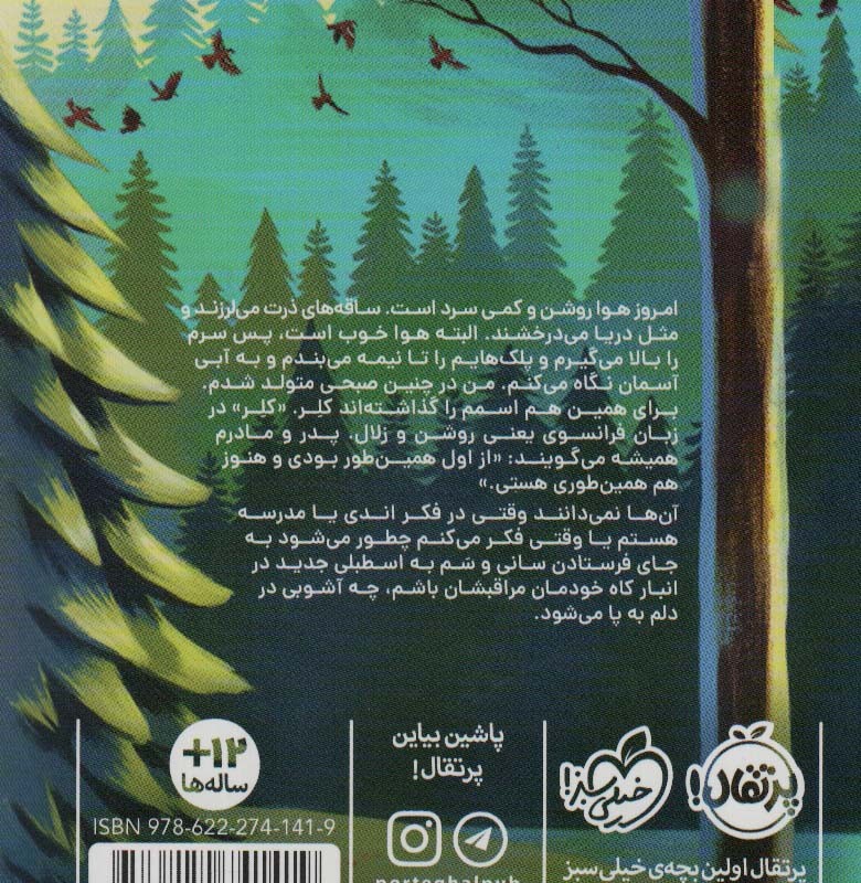 راه نرفته