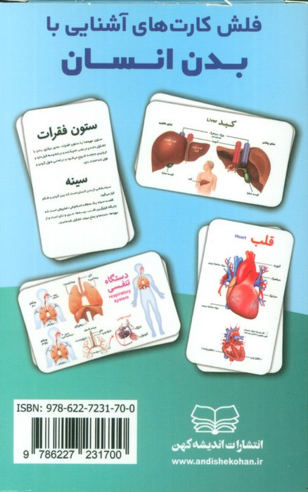 فلش کارت آموزشی آشنایی با بدن انسان