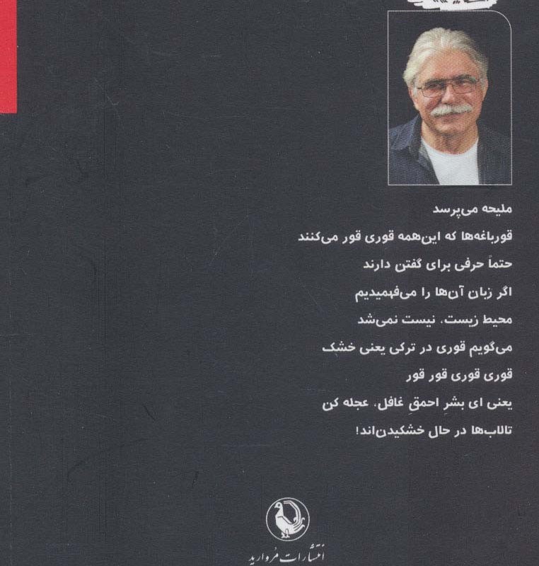 جوجه کلاغ ها سیاه به دنیا نمی آیند بعدا سیاه