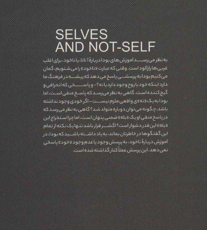 آفرینش خود
