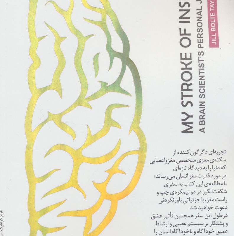 قدرت اعجاب انگیز نیمکره های مغز