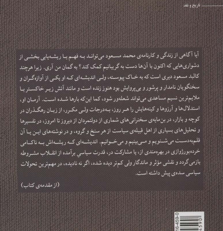 راوی خشمگین آرزوهای خرده بورژوازی - آرمان نهچیری