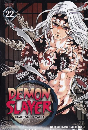مجموعه مانگا DEMON SLAYER 22