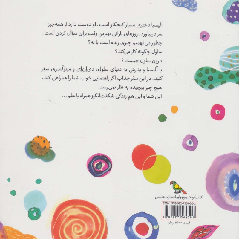 درون جعبه شگفت انگیز