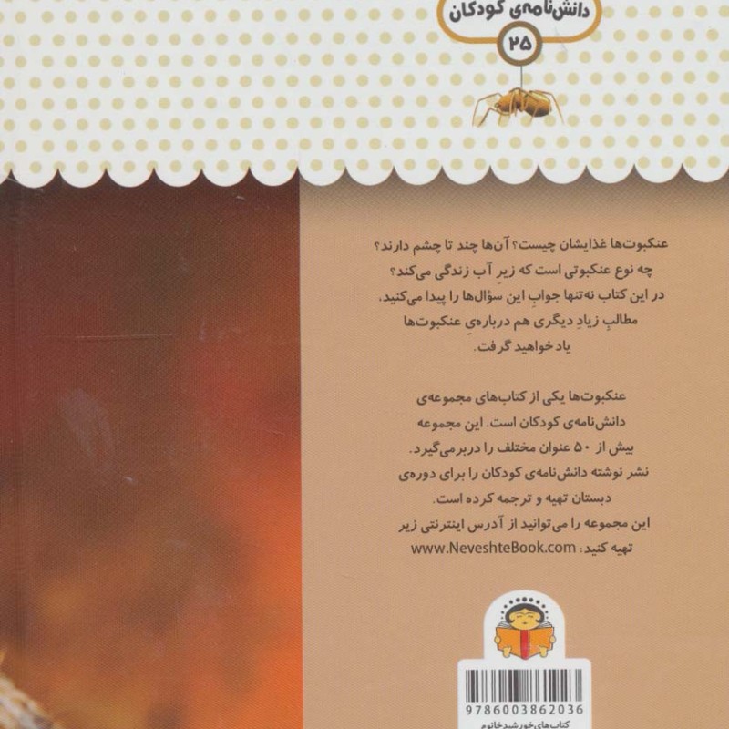 یک فنجان دانستنی درباره عنکبوت ها نشر نوشته
