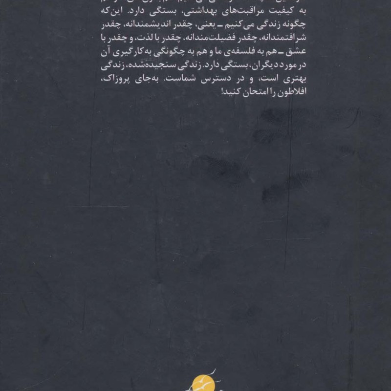افلاطون آری پروزاک نه